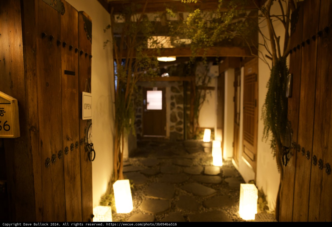 Illuminated Pathway: A Journey Through the Corridor of Seoul