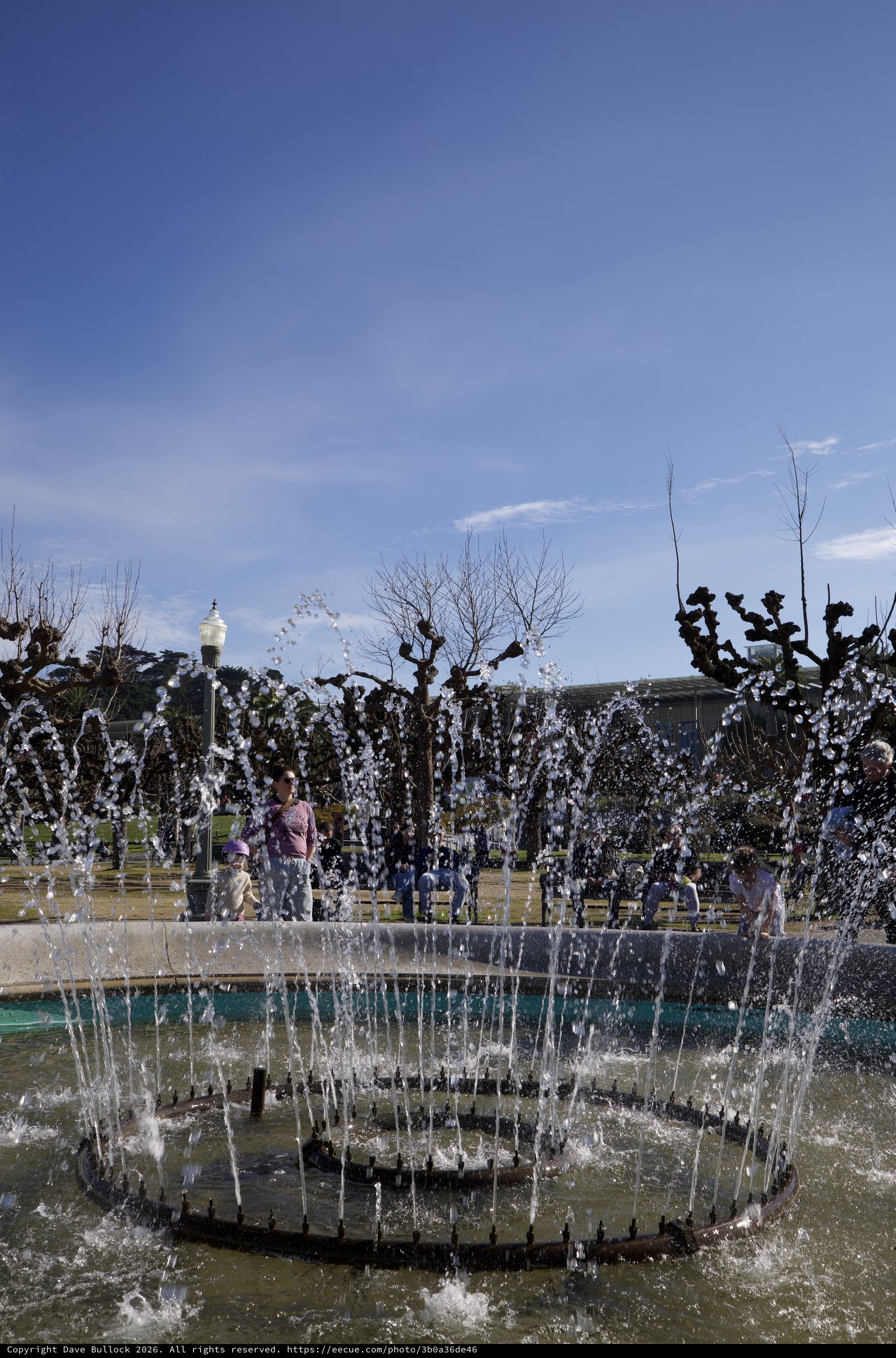 Fountain Display in Urban Park with Bare Trees