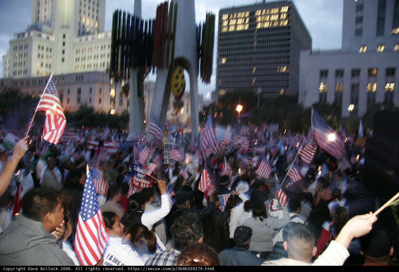 Patriotic Crowd in Metropolis