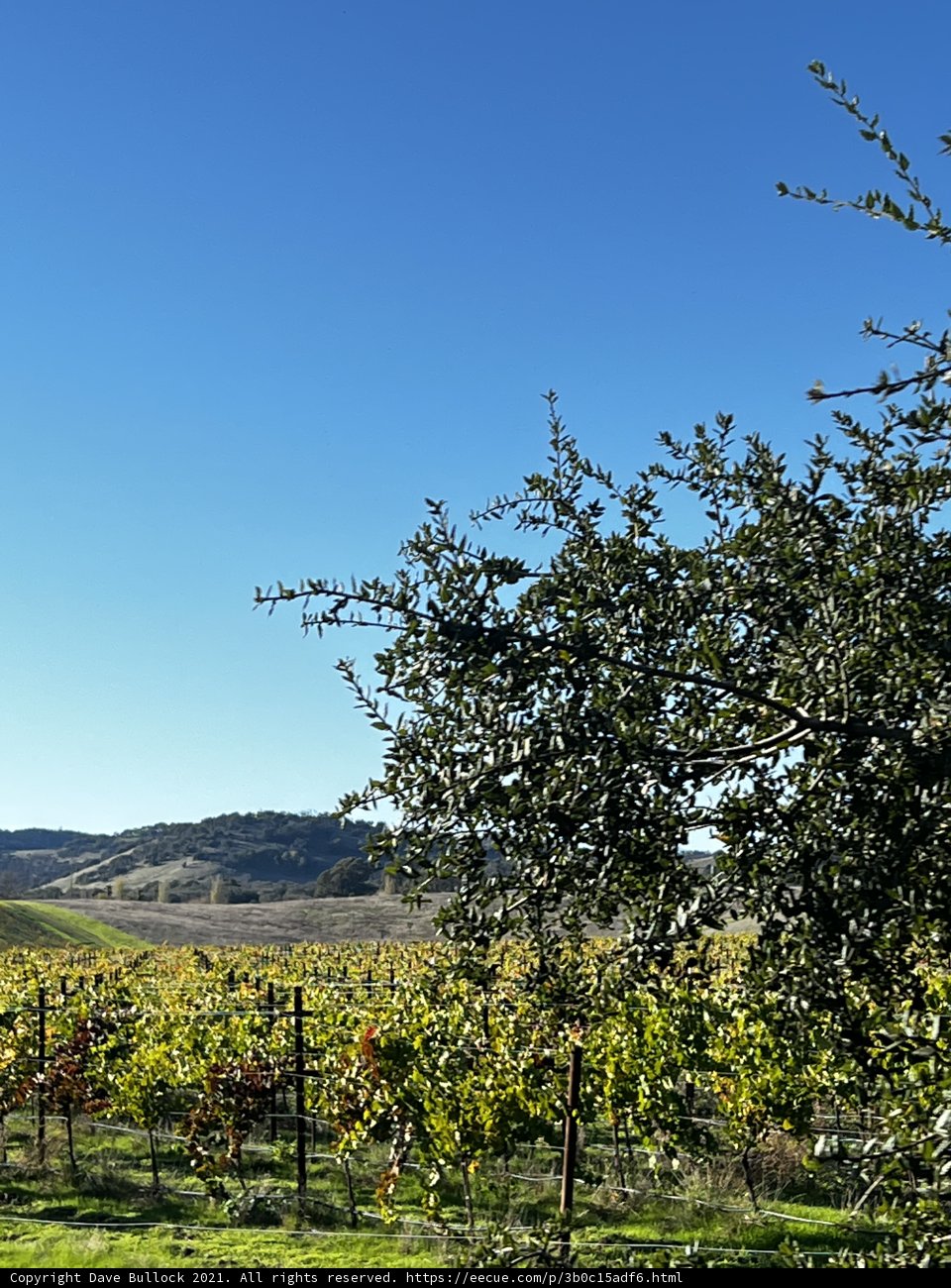 Vineyard Retreat