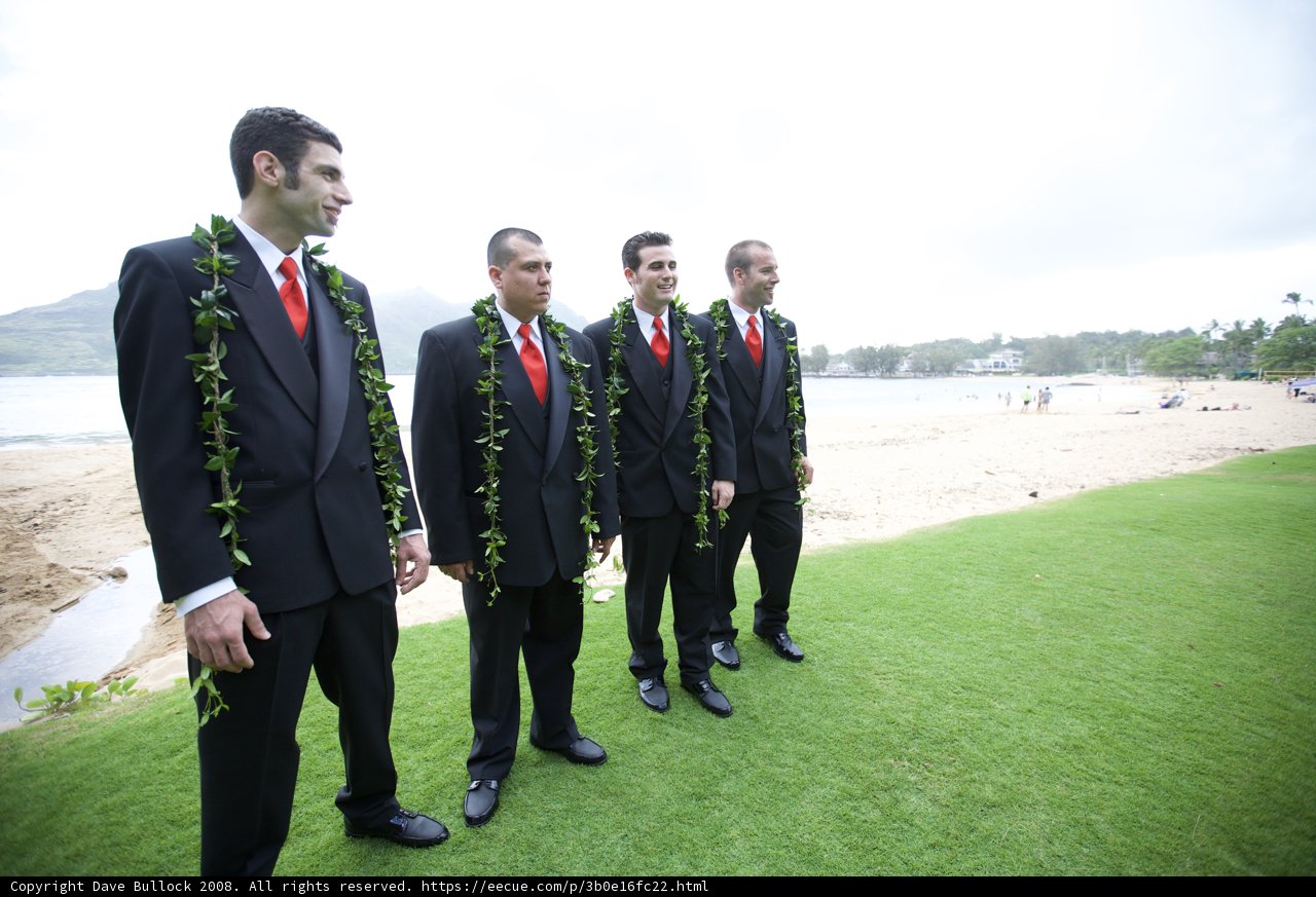 Executive Four