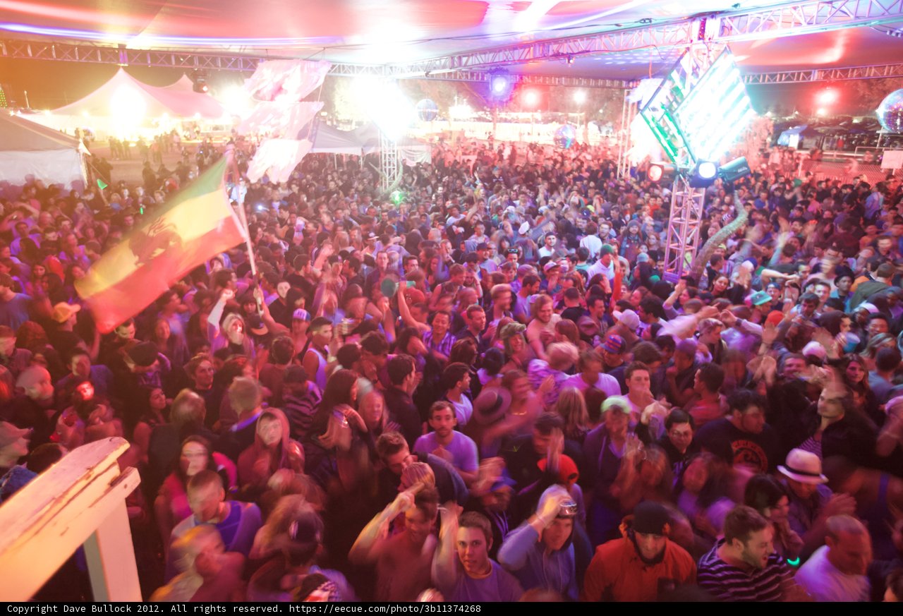 Coachella 2012's Electric Crowd