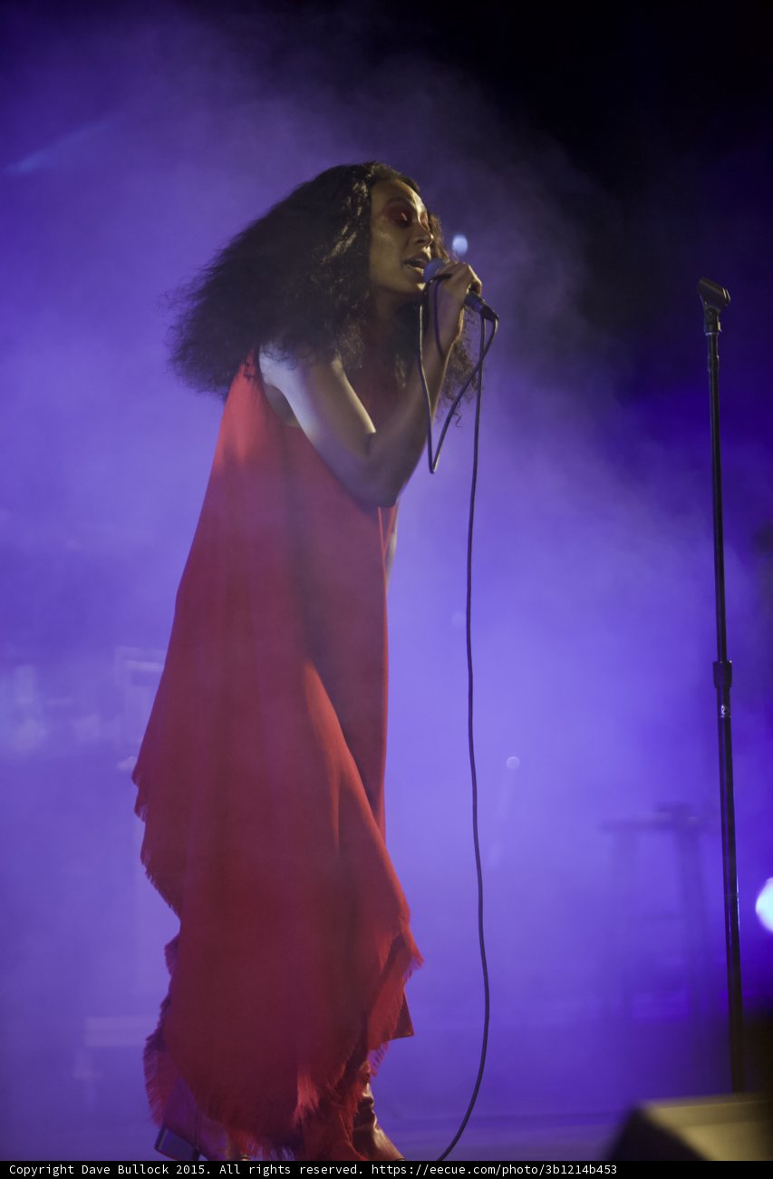 Solange Profile Full Body Red Dress Mic Stand Elegant Purple