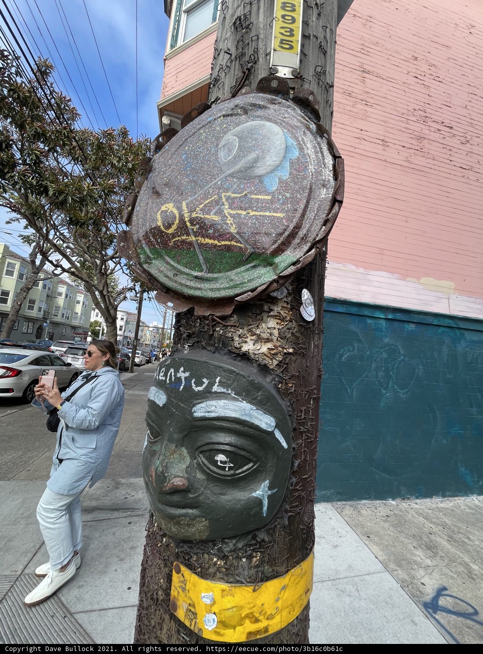Urban City Tree Sign
