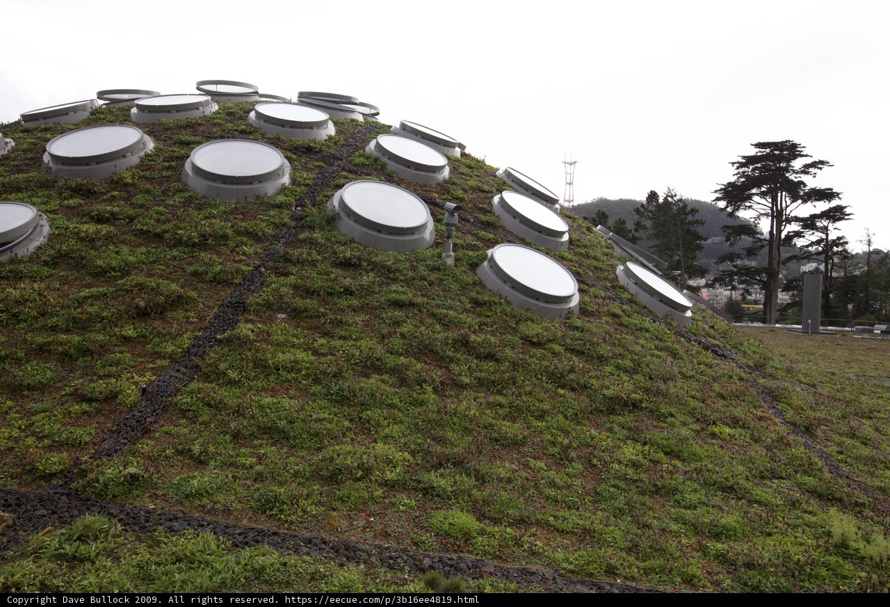 Circular Windows on Green Roof