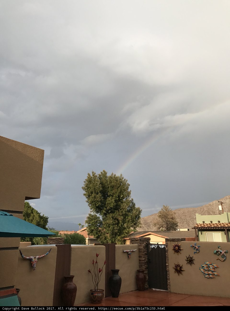 Rainbow Oasis in the Desert