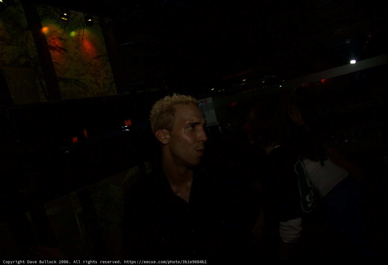 Captivating Crowd at the Urban Party