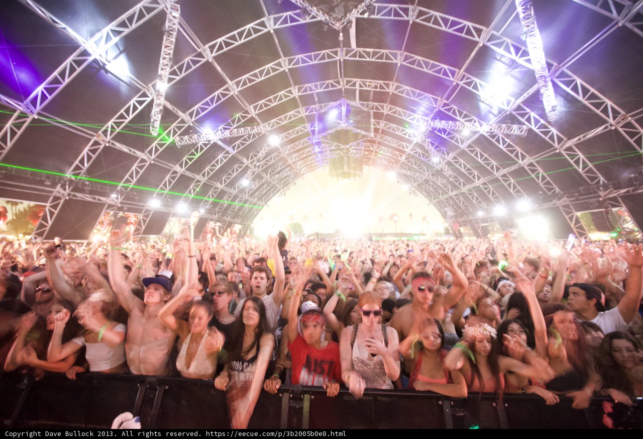 Coachella Nights