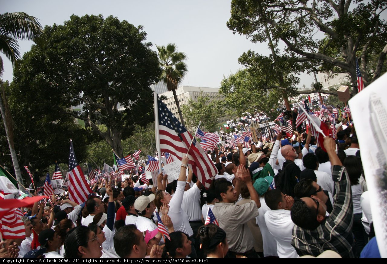 Patriotic Crowd Waving American Flags