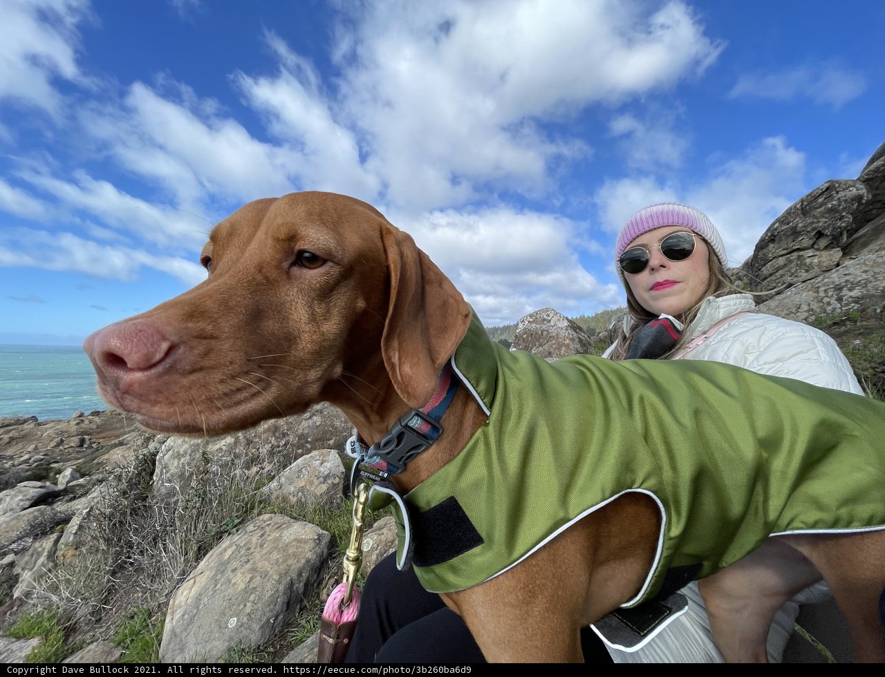 Rockin' with my Vizsla