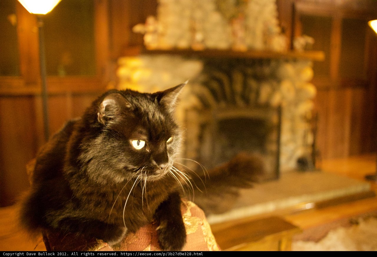 Cozy Fireplace Companion