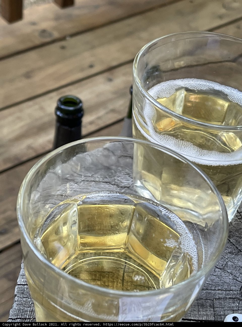 Cheers to Summer in the Stanislaus