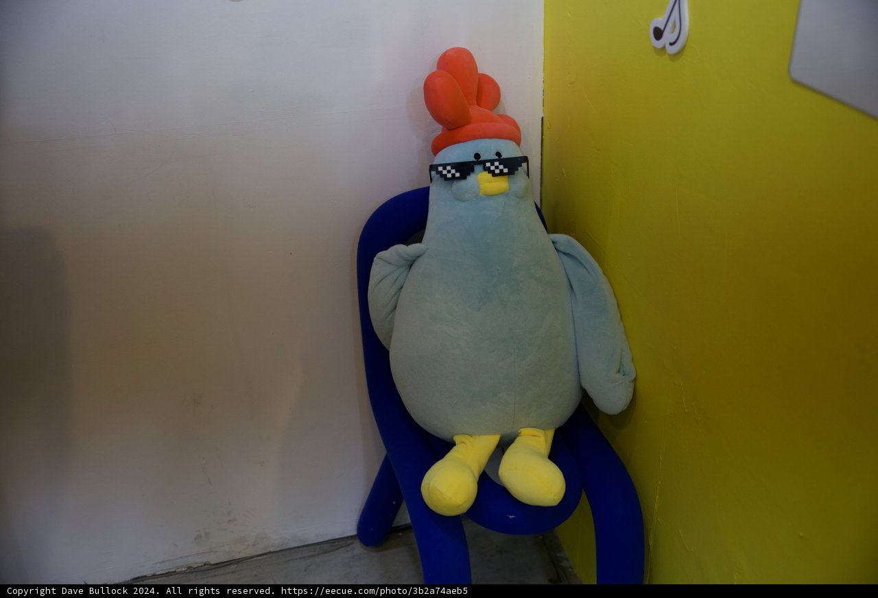 Plushie Bird's Perch in Korea, 2024