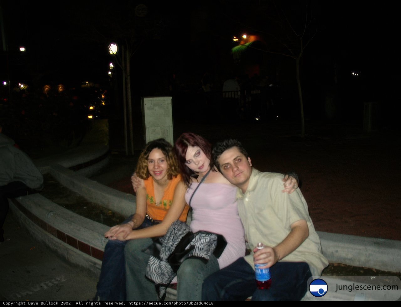 Nighttime Bench Buddies