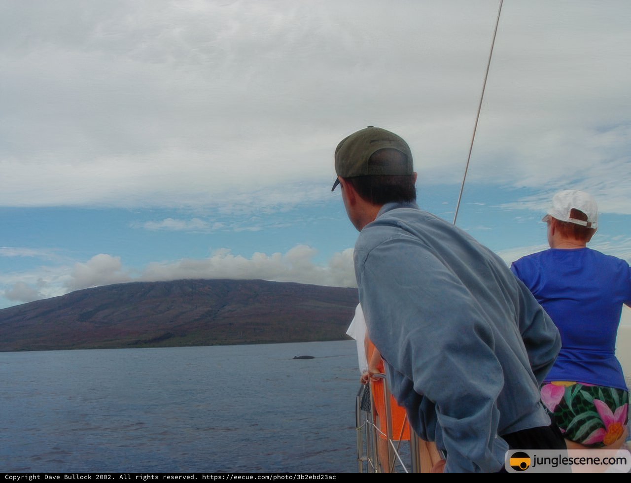 A Serene Moment on the Pacific