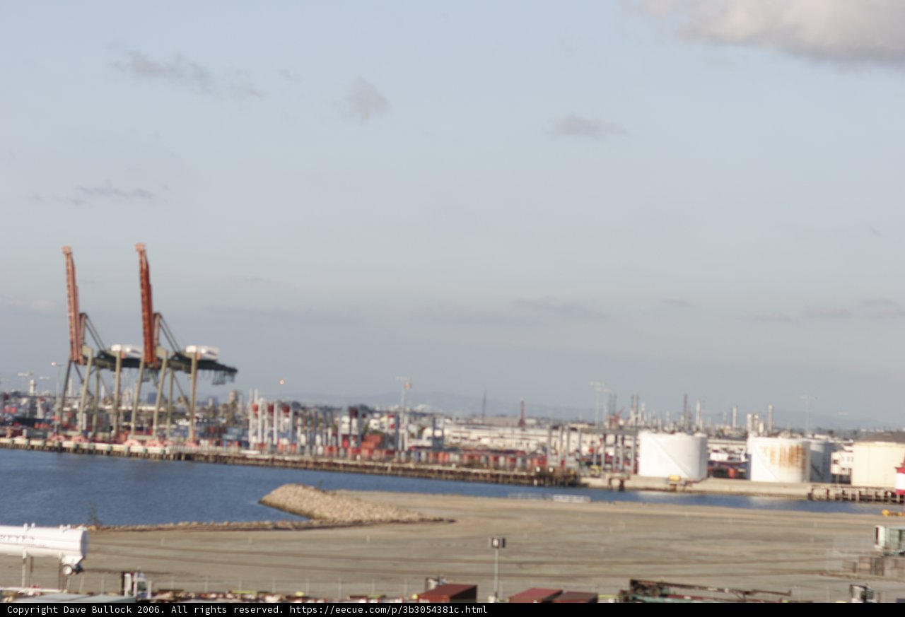 Bustling Harbor Scene