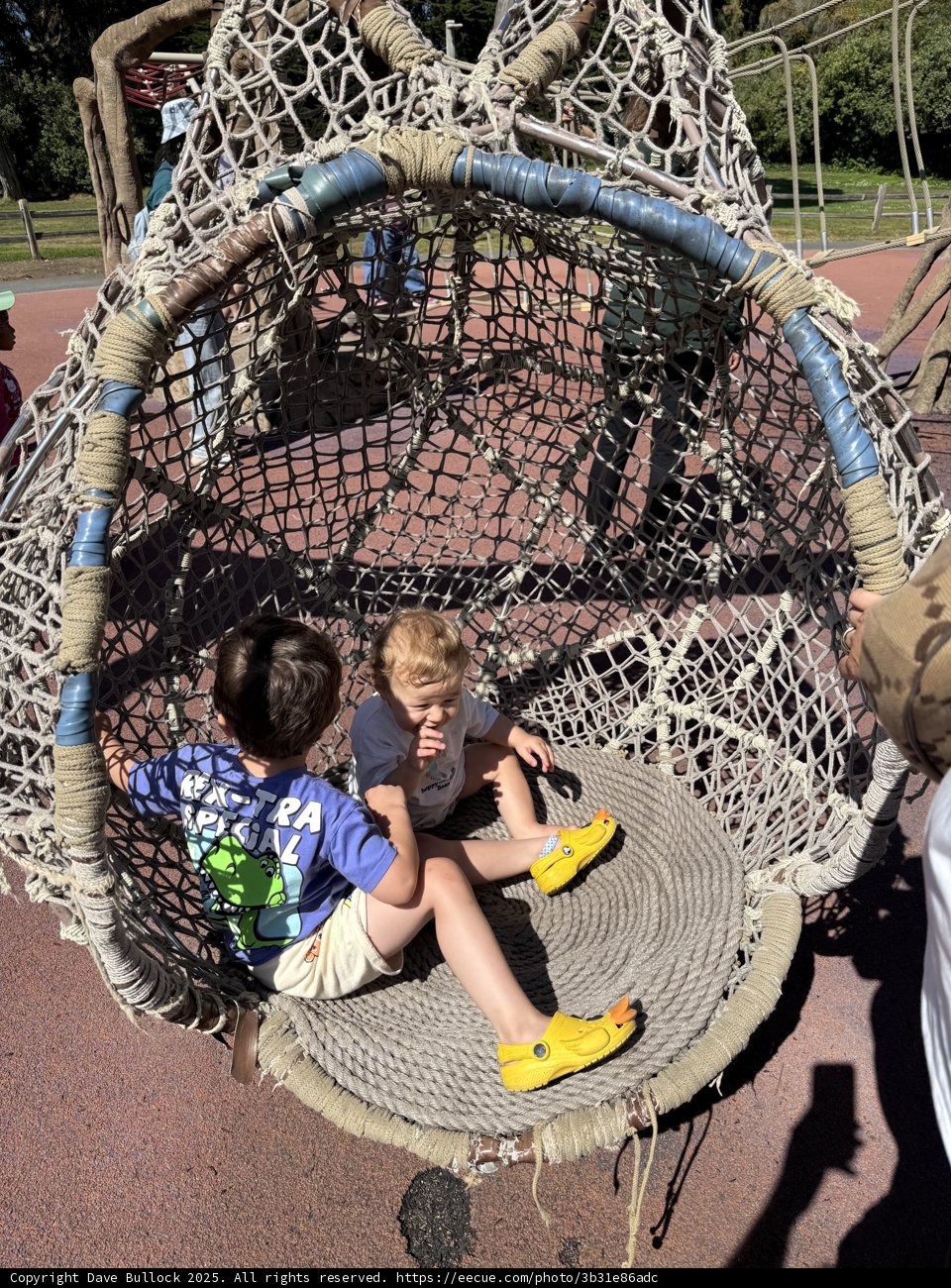 Adventures on the Spider Web