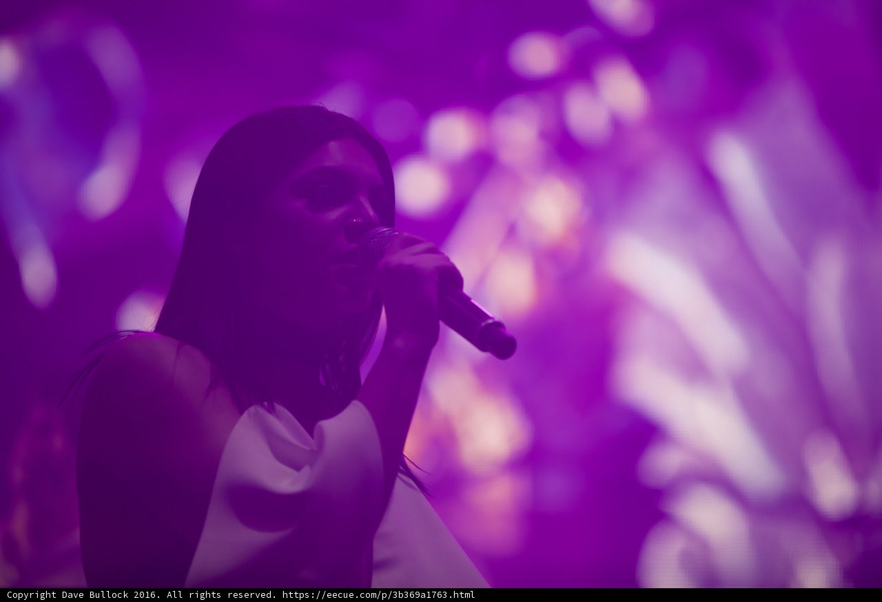 Purple Haze Performance