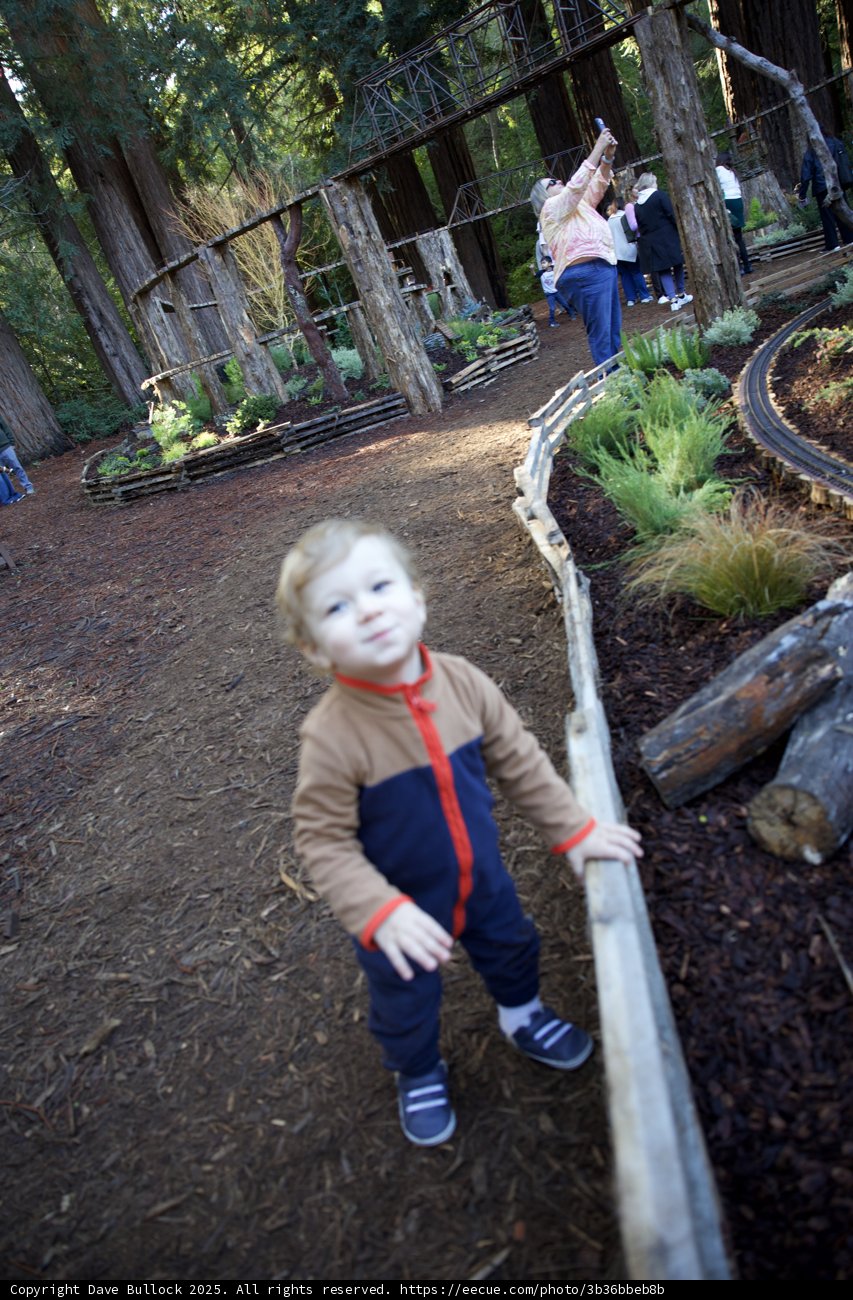 Exploring Thistlewyck's Enchanted Grove