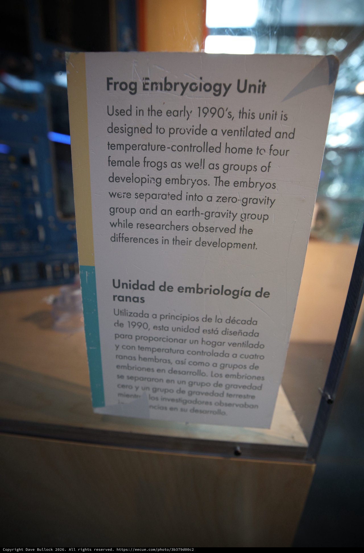 Frog Embryology Unit Display at Science Museum