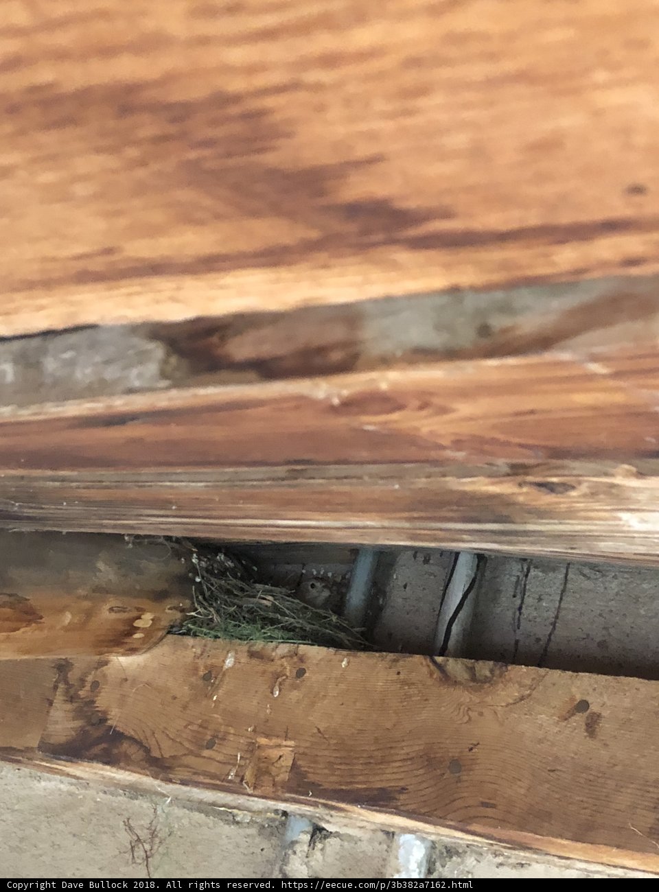Inspecting the Wood Beams