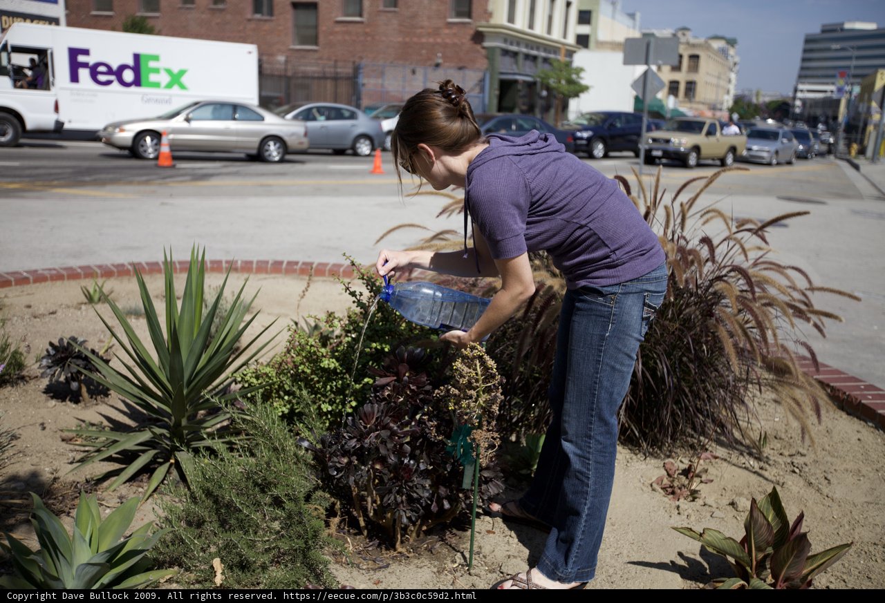 Greening the Concrete Jungle