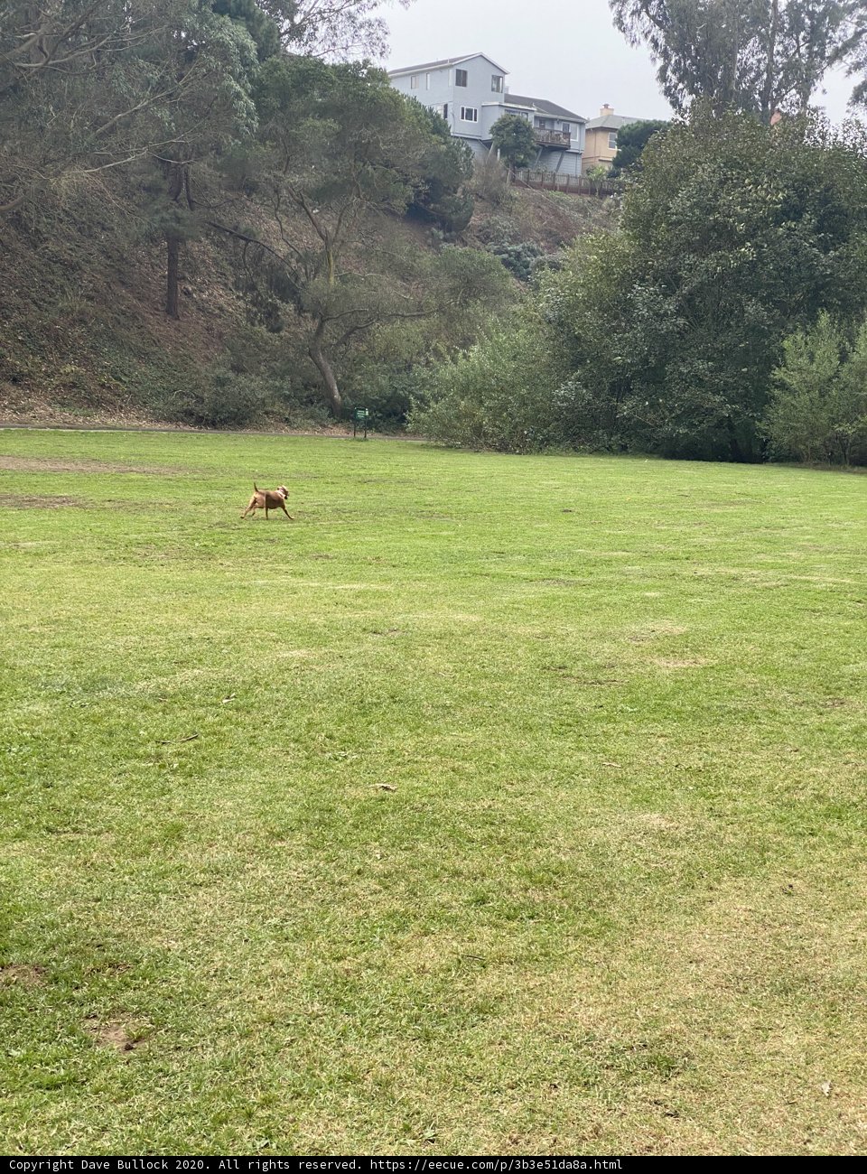 Sprinting through Nature's Playground