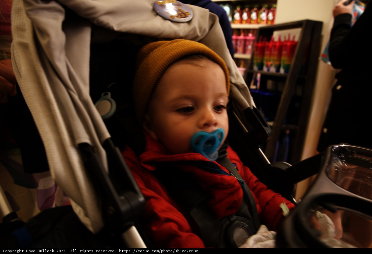 Wesley's Adventures in Disneyland
