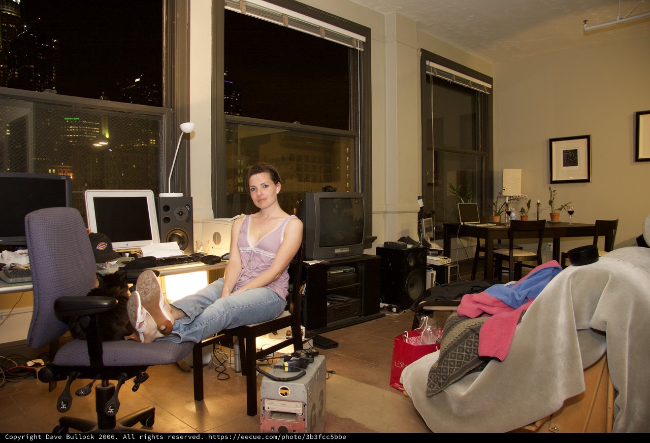 Urban Apartment Life at Night, 2006