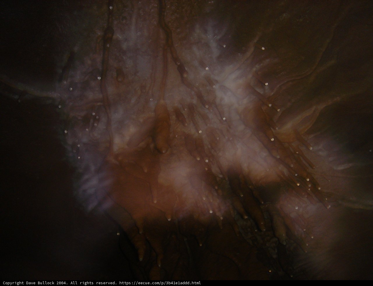 Cosmic Darkness