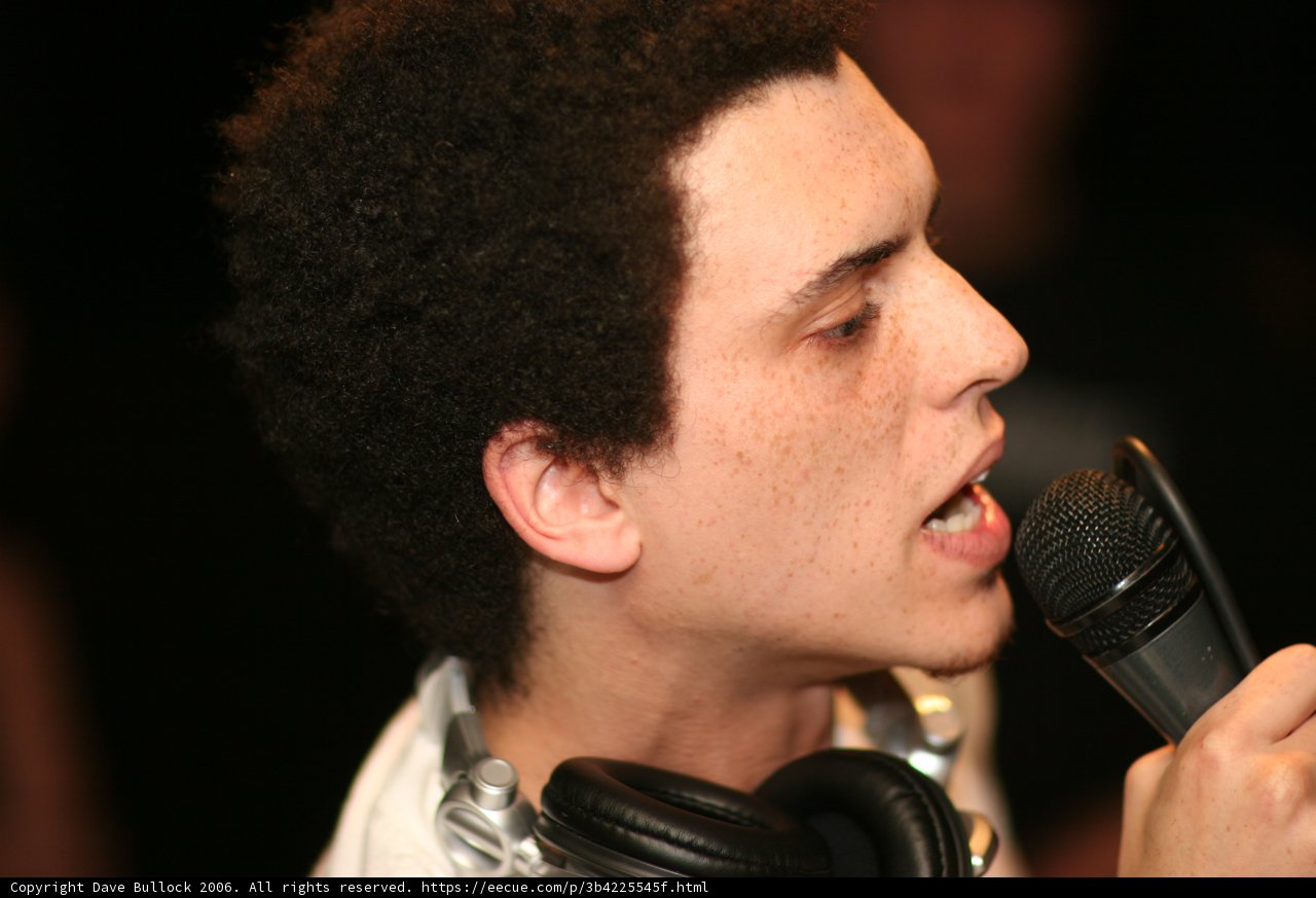 The Singer and His Mic