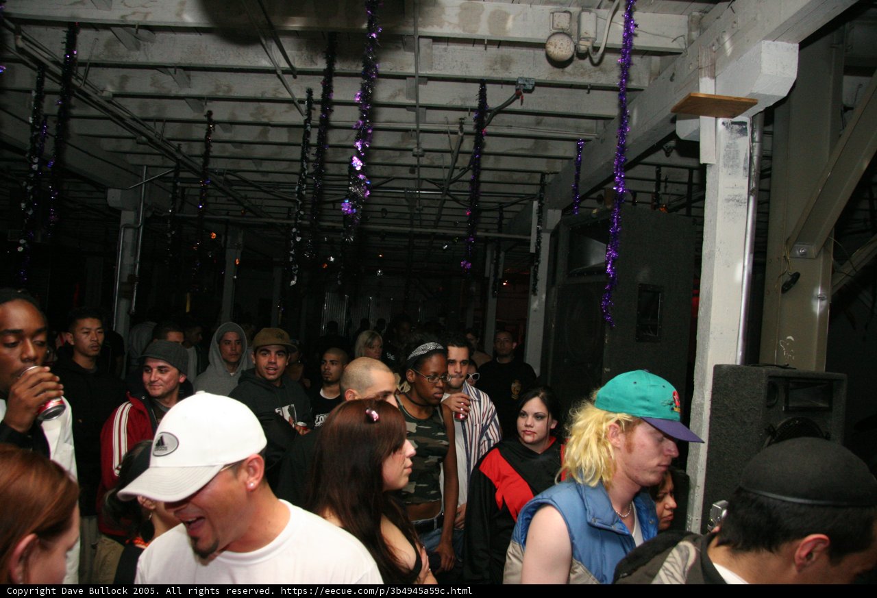 Purple Haze Nightclub Fun