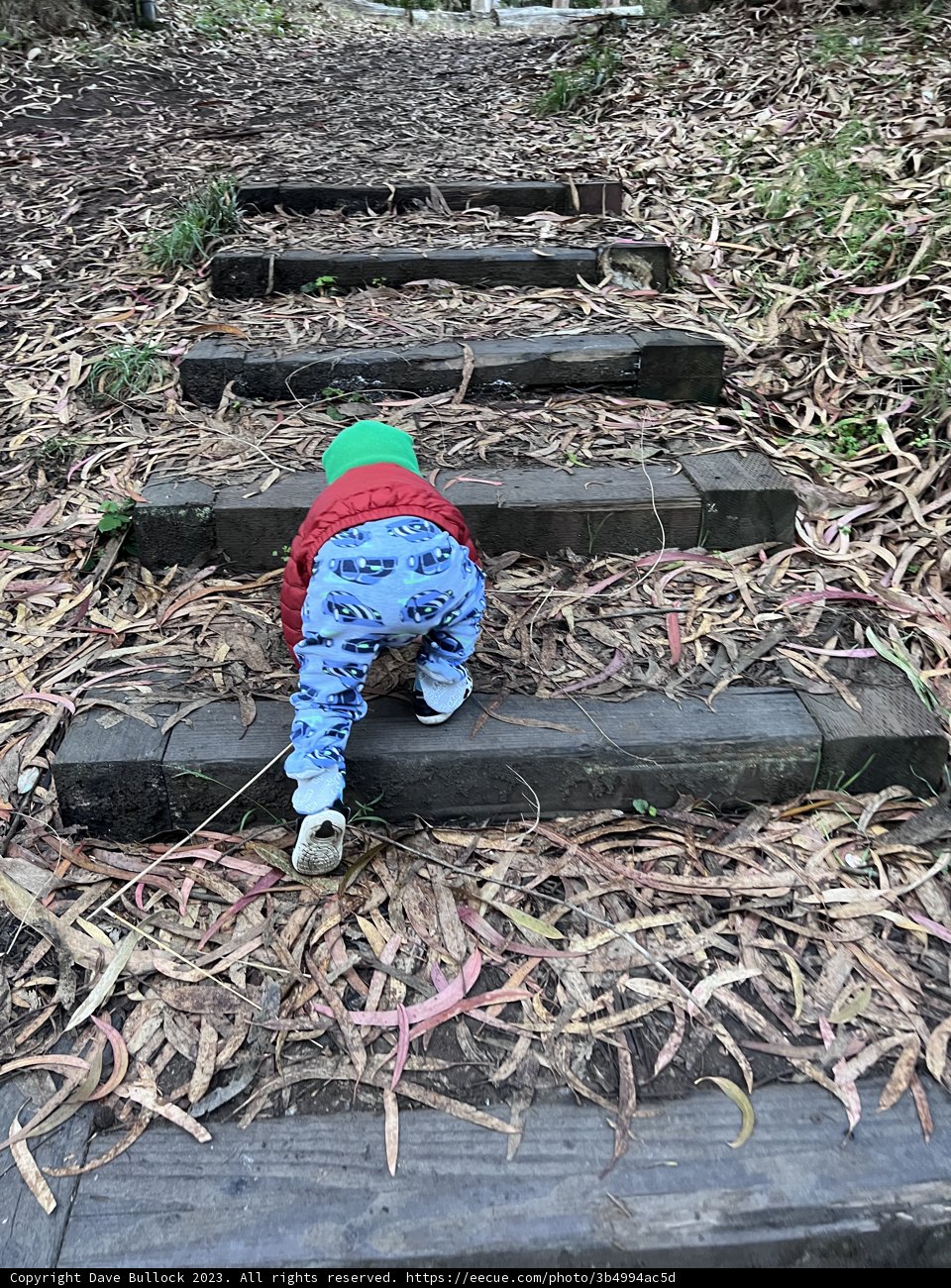 Uncharted Paths: First Adventure