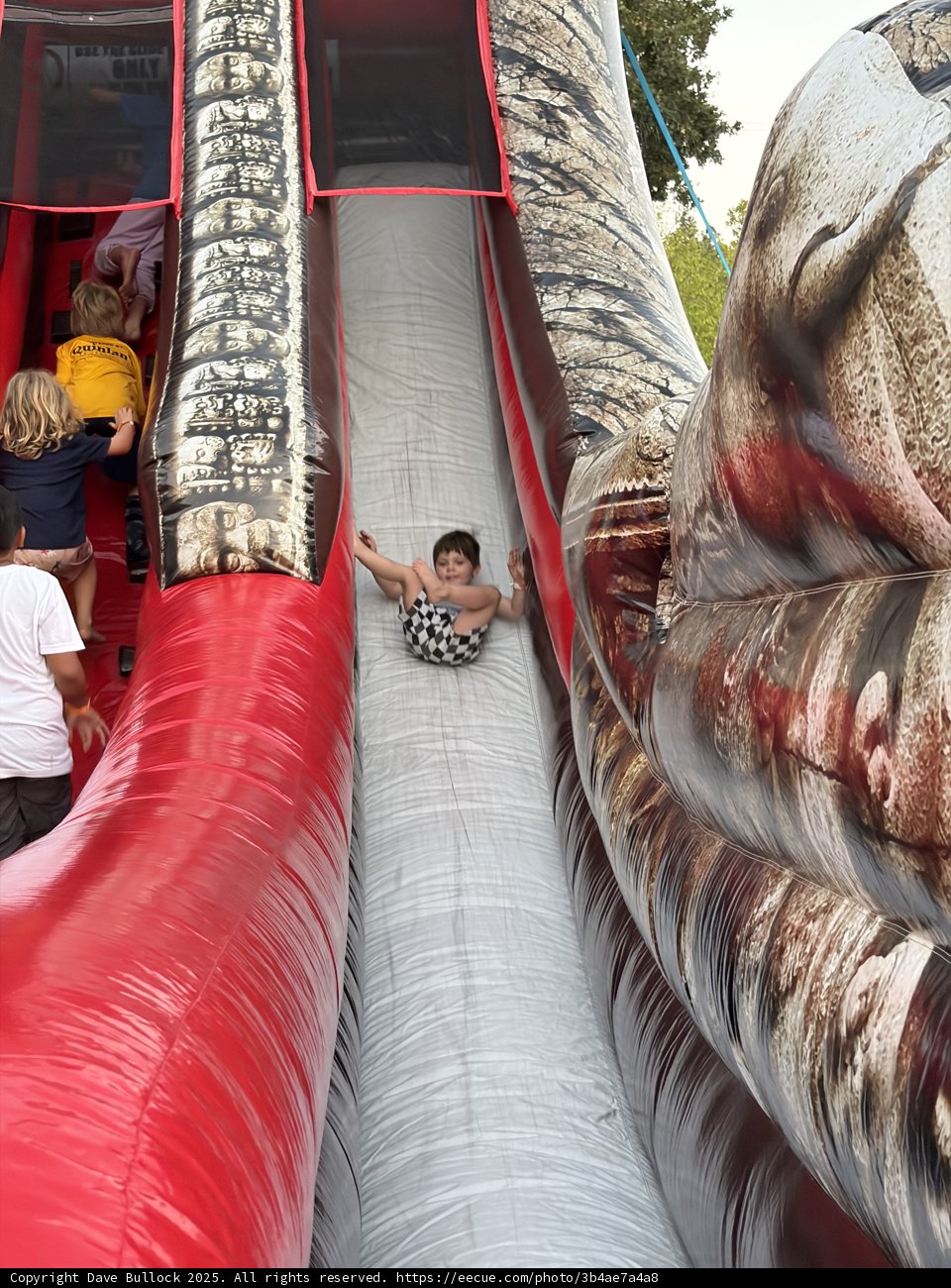Adventure Down the Slide