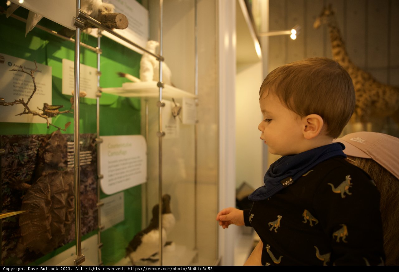 Childlike Wonder: A Day at the Museum