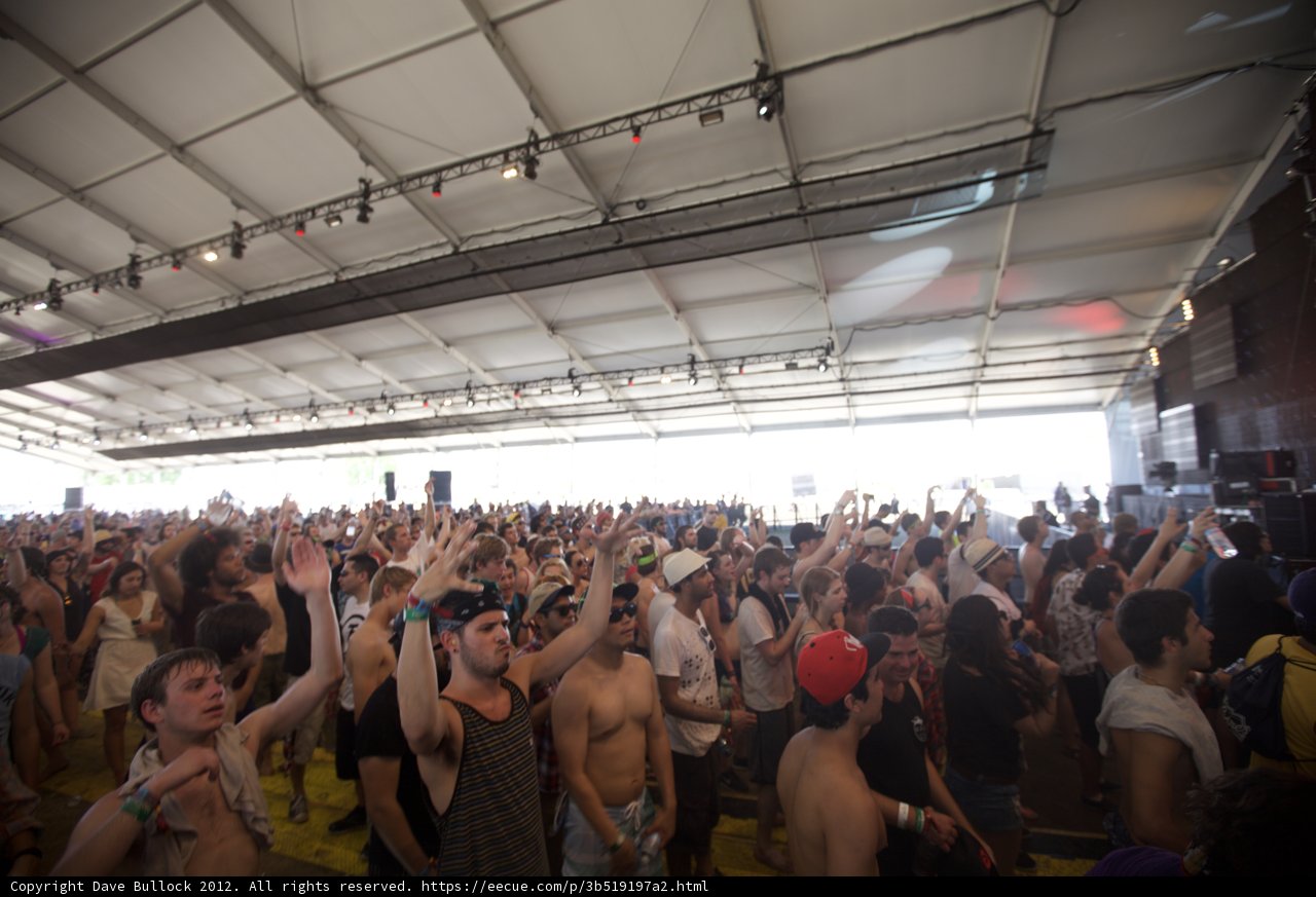 Music Fans Unite at Coachella 2012