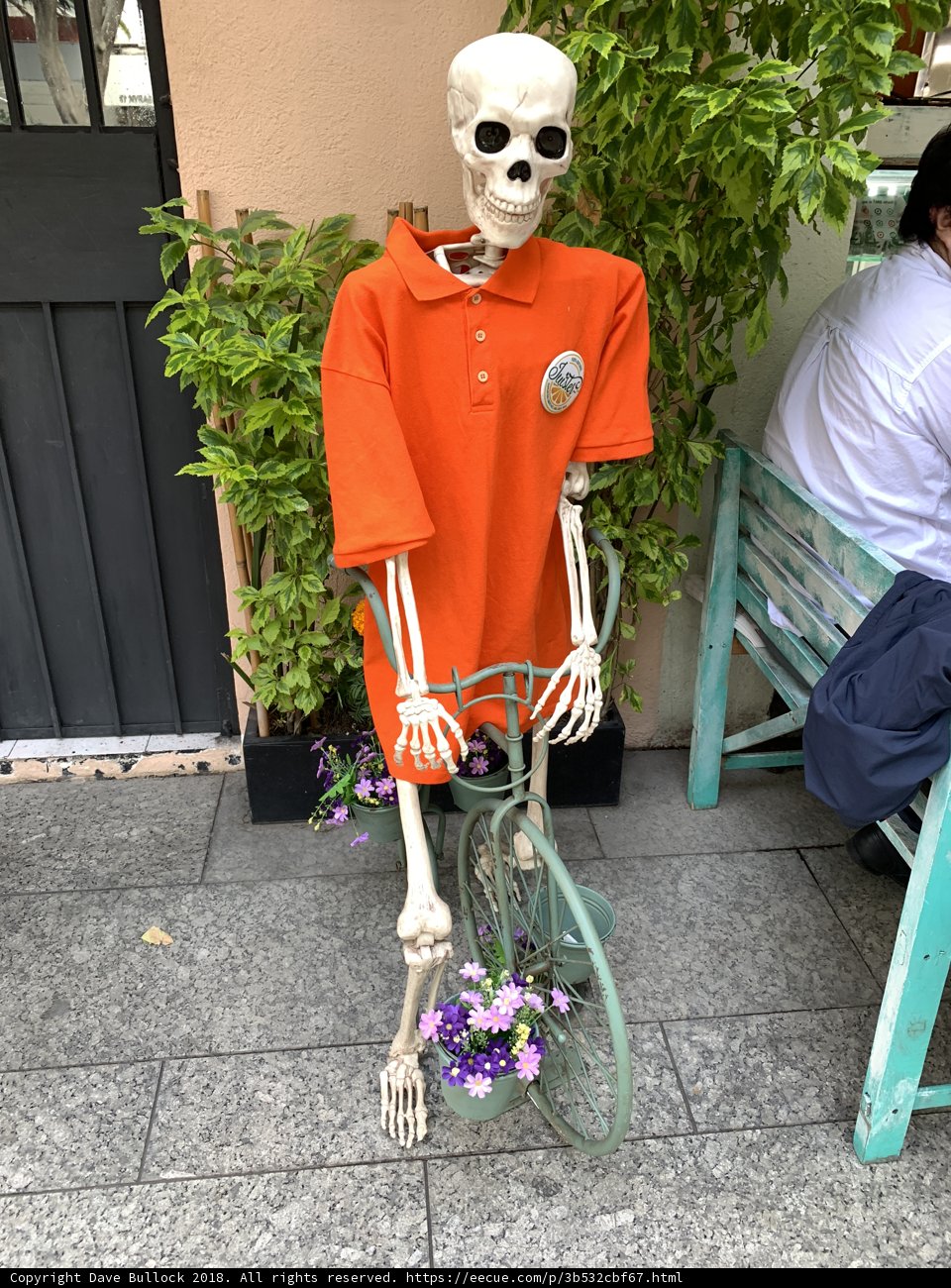 The Biker Skeleton