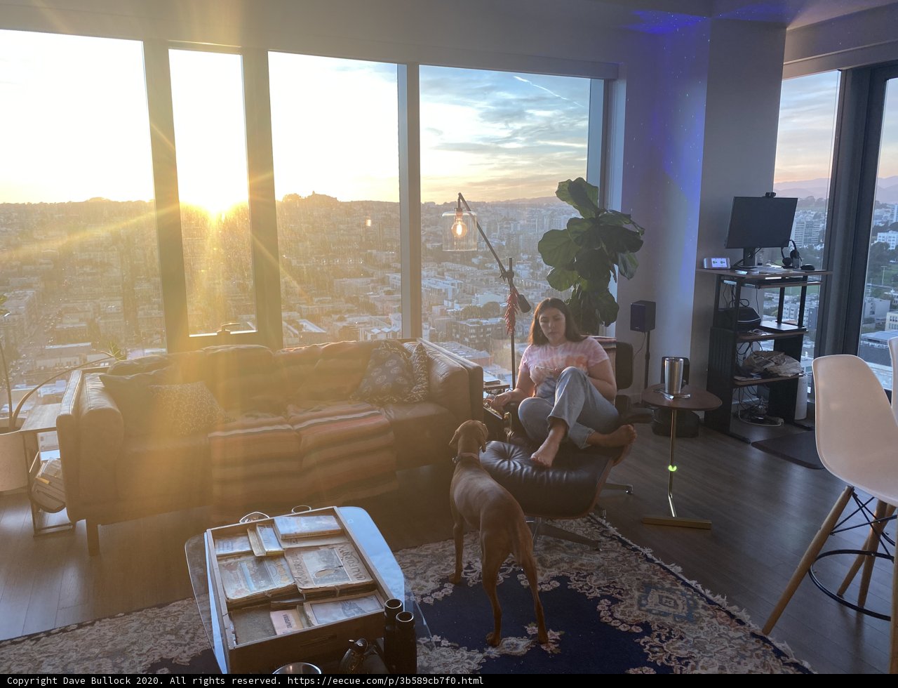Cozy Evening with Furry Companion