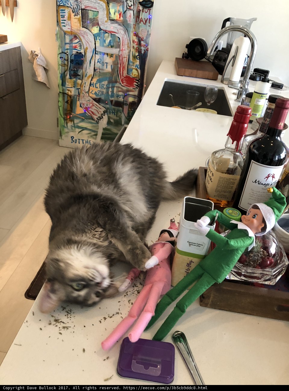 Feline Company in the Kitchen