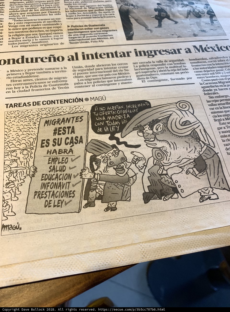 City of Mexico Newspaper Cartoon