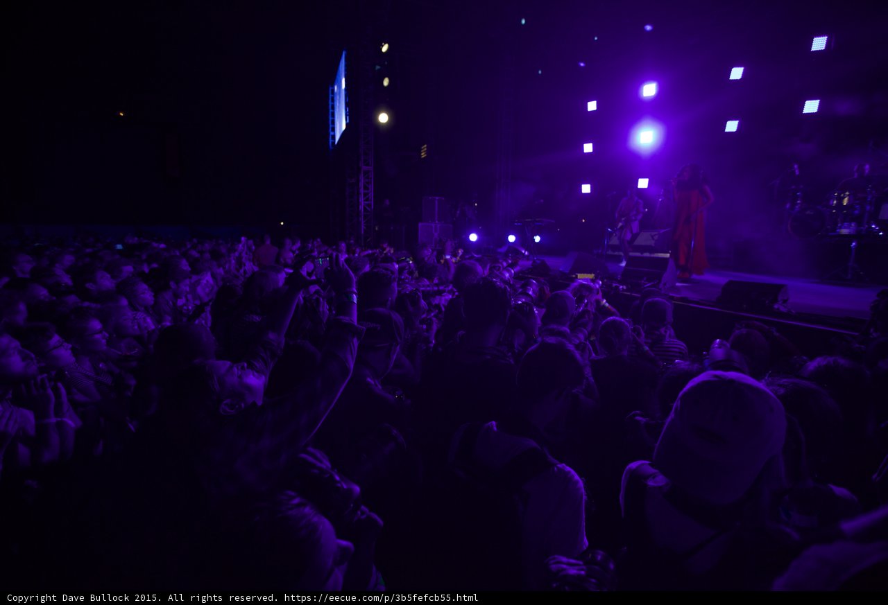 Florence and the Machine Massive Crowd Purple