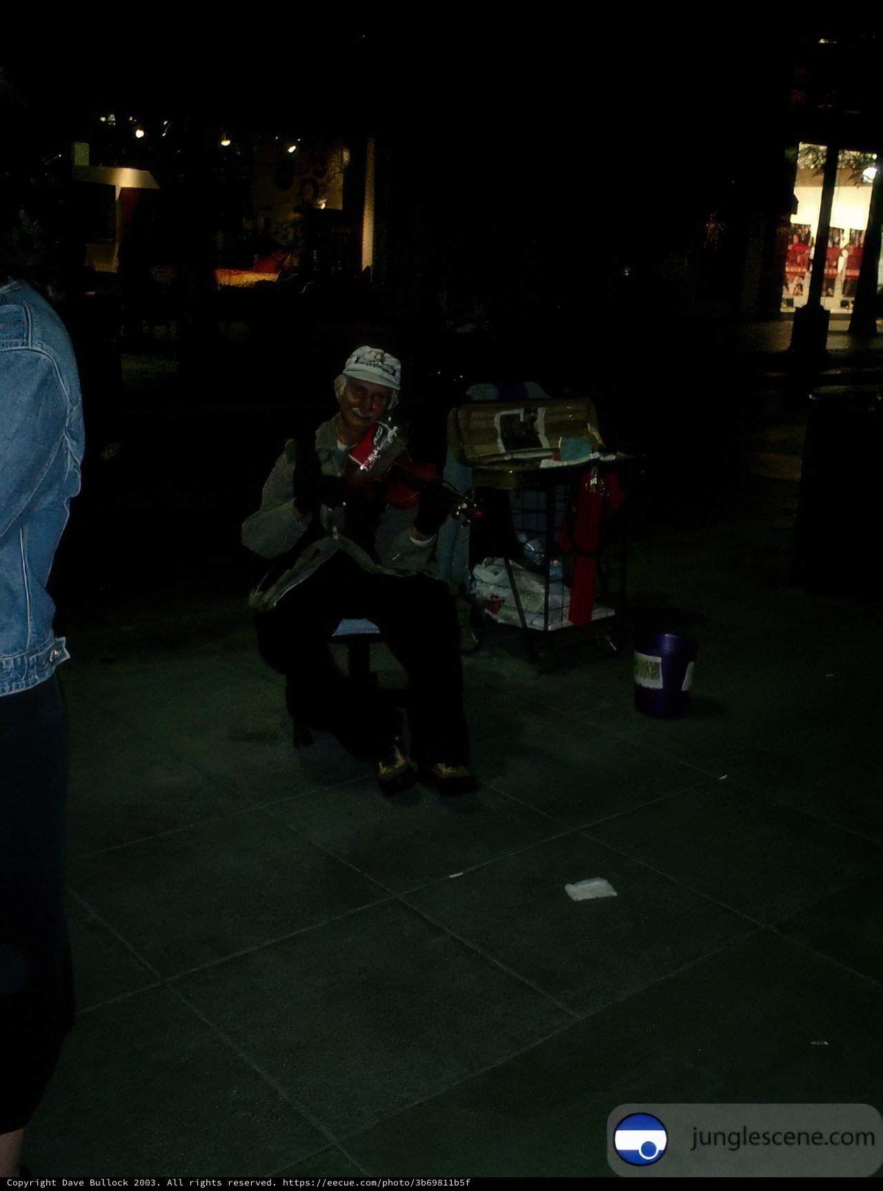 Nighttime Serenade