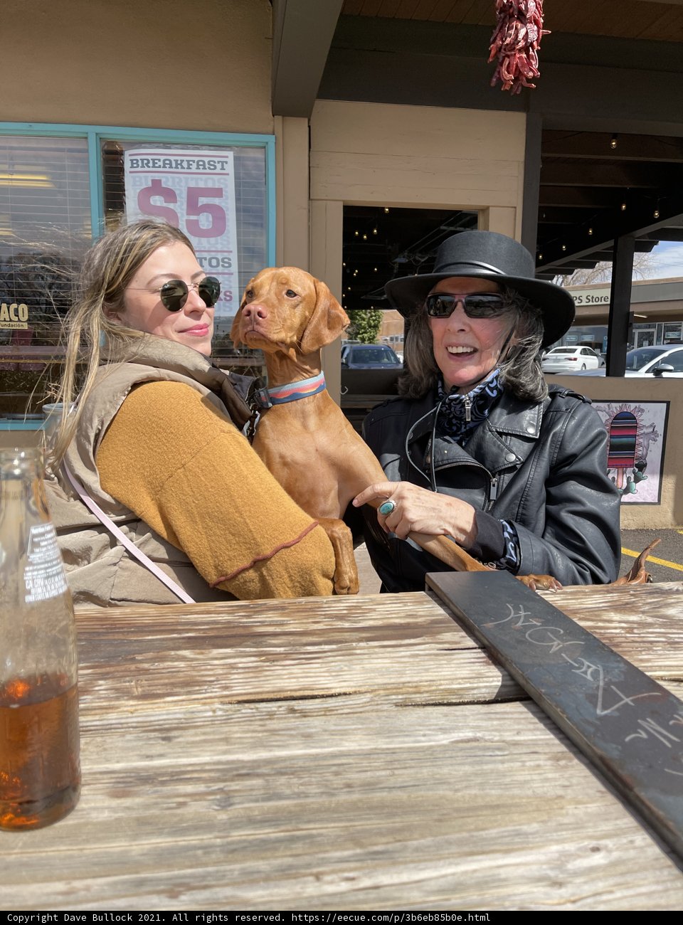 Relaxing Afternoon with Two Friends and a Furry Companion