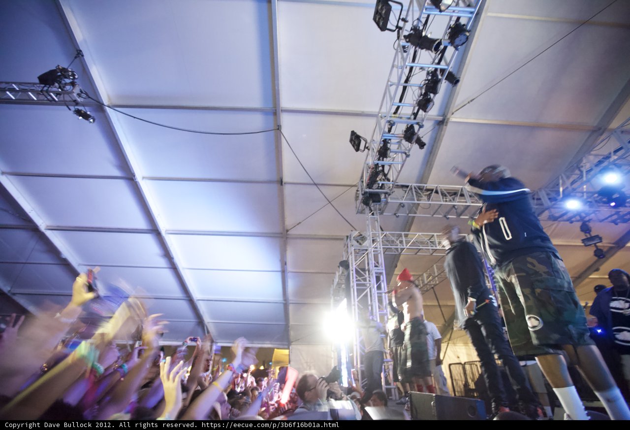 Electrifying Crowd at Coachella Concert