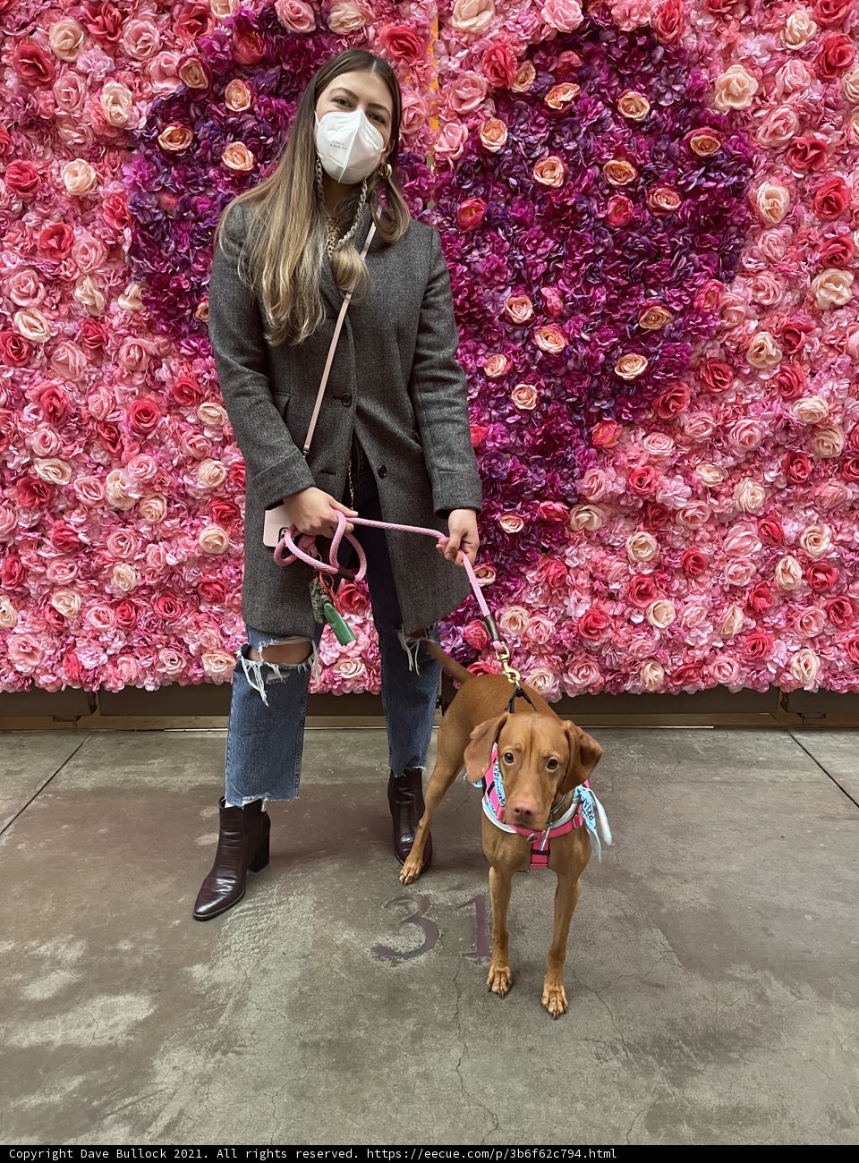 Flower Power Walk