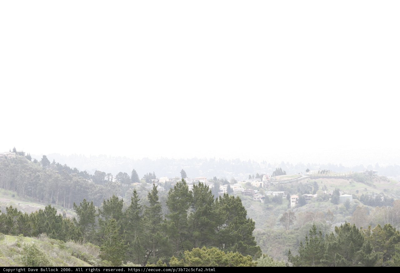 Horseback Riding in the Misty Wilderness
