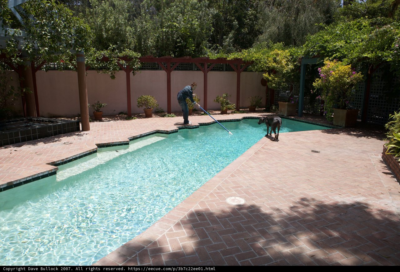 Poolside Reflections