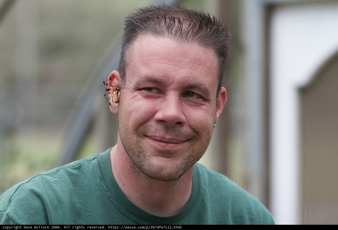 Green Shirted Man