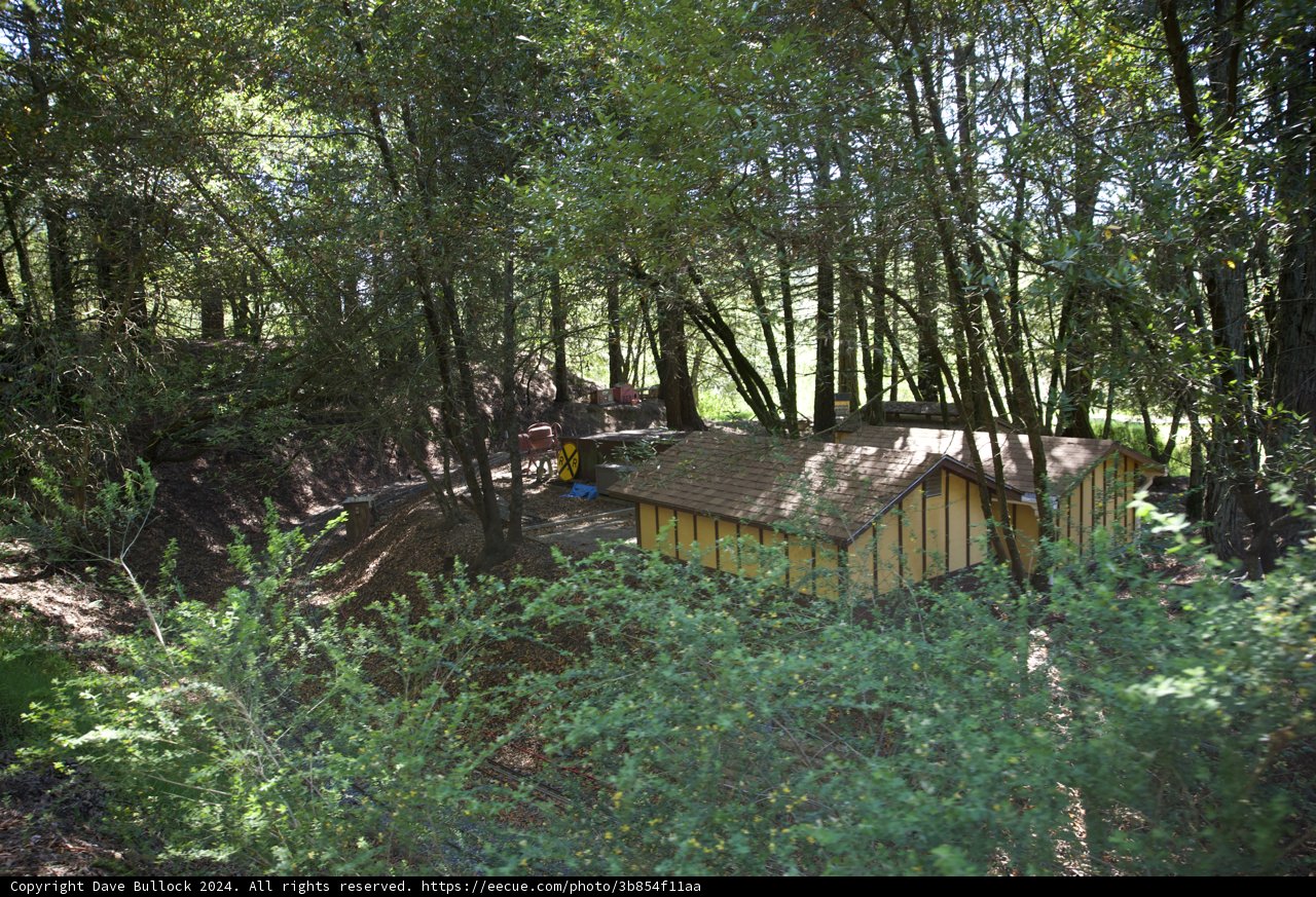 Secluded Sanctuary in the Woods