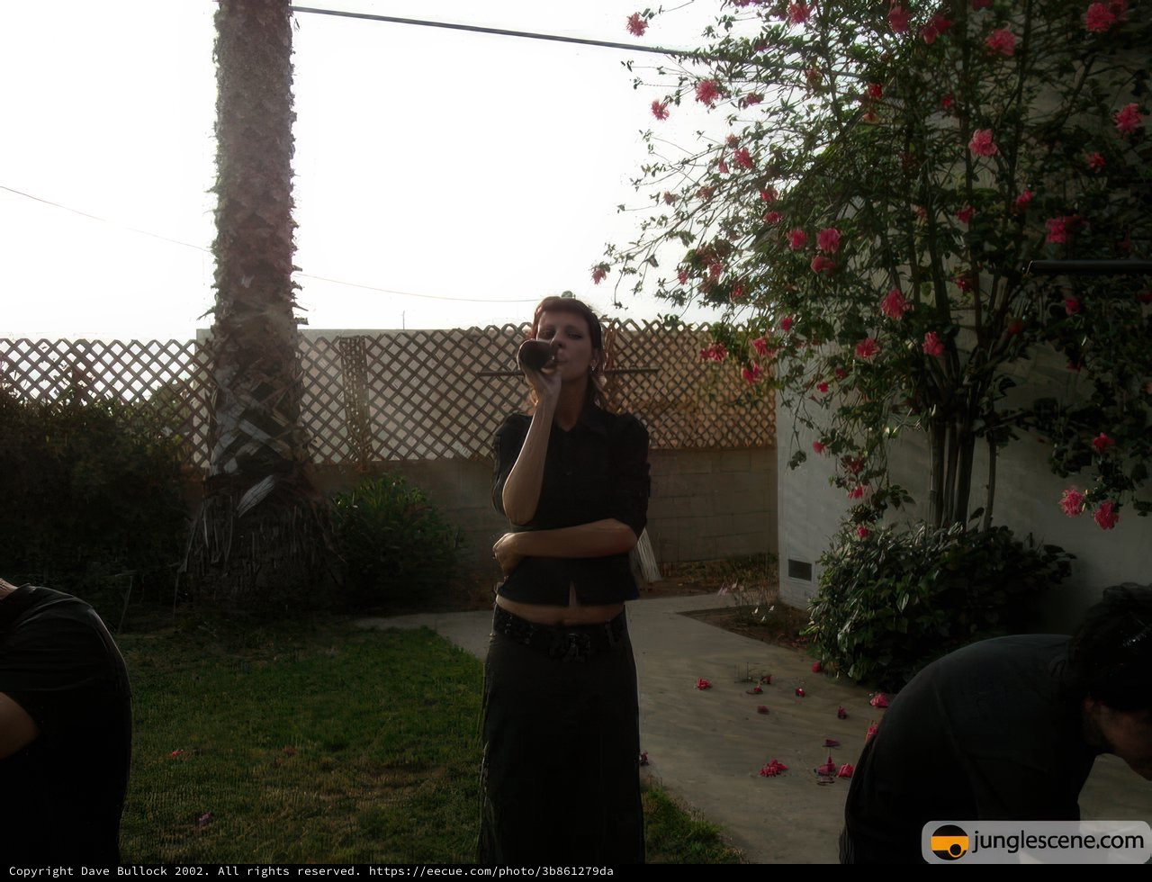The Backyard Chats